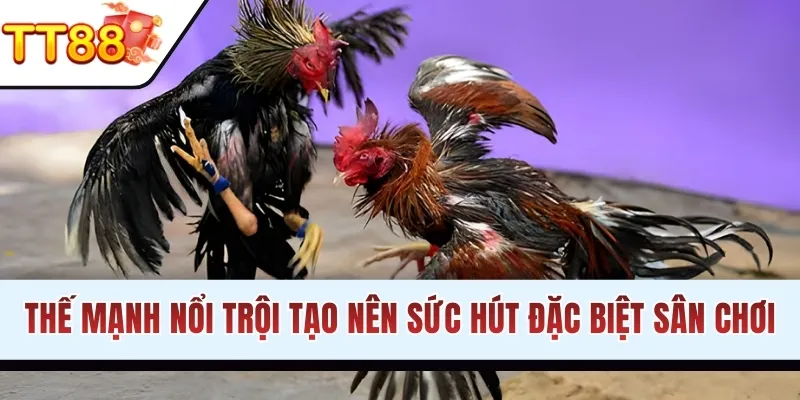 Thế mạnh nổi trội tạo nên sức hút đặc biệt sân chơi